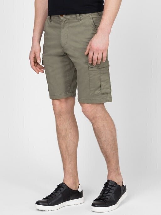 Meeste lühikesed püksid Gant, roheline hind ja info | Meeste lühikesed püksid | kaup24.ee