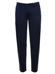 Мужские брюки Tommy Jeans, синие цена и информация | Мужские брюки | kaup24.ee