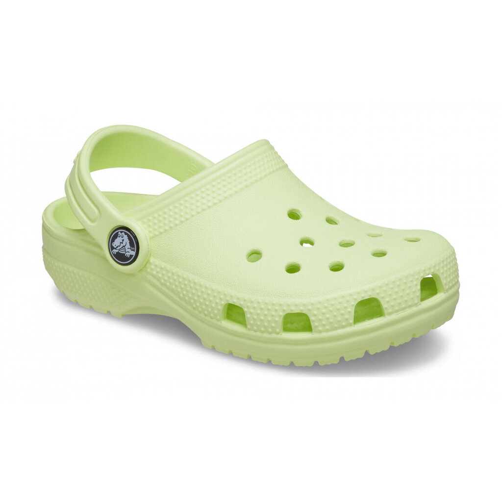 Crocs™ Kids' Classic Clog hind ja info | Laste kummijalatsid | kaup24.ee