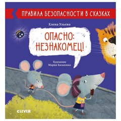 Опасно: незнакомец! hind ja info | Lasteraamatud | kaup24.ee