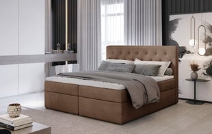 Кровать NORE Loree 06, 180x200 см, коричневая цена и информация | Кровати | kaup24.ee
