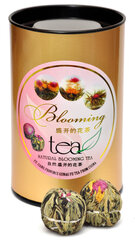 Blooming tea - Õitsev tee, 3 tüüpi - 6 tk цена и информация | Чай | kaup24.ee