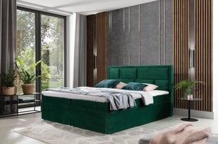 Voodi NORE Meron 09, 160x200 cm, roheline цена и информация | Кровати | kaup24.ee