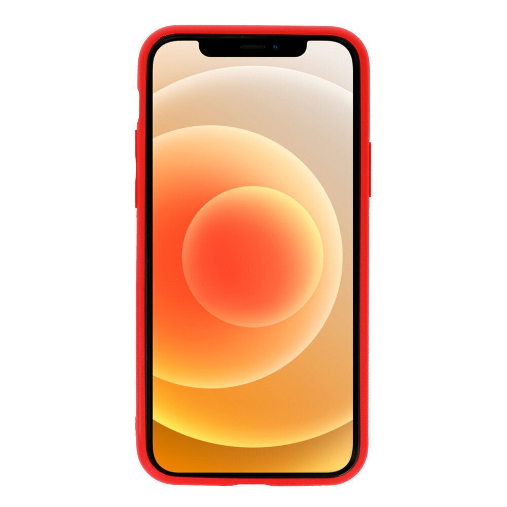 Telefoniümbris Luxury iPhone 11 Pro, Tel Protect, punane цена и информация | Telefoni kaaned, ümbrised | kaup24.ee