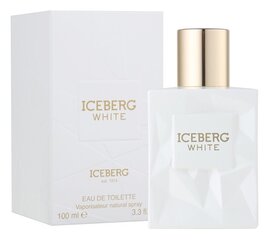 Туалетная вода Iceberg White для женщин EDT 100 мл цена и информация | Женские духи | kaup24.ee
