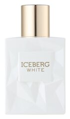 Туалетная вода Iceberg White для женщин EDT 100 мл цена и информация | Женские духи | kaup24.ee