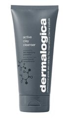 Очищающее средство для жирной кожи Dermalogica Active Clay, 150 мл цена и информация | Аппараты для ухода за лицом | kaup24.ee