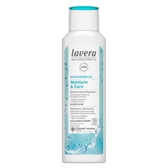 Шампунь увлажняющий волосы Basis Sensitive Lavera, 250 мл цена и информация | Шампуни | kaup24.ee