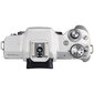 Canon EOS M50 Mark II Body, White hind ja info | Fotoaparaadid | kaup24.ee