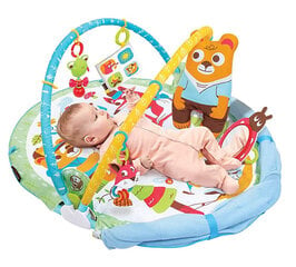 Tegelusmatt Yookidoo Play ‘N’ Nap Gymotion hind ja info | Tegelustekid | kaup24.ee