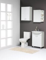 Нижний шкафчик для ванной комнаты с раковиной Elza EA50-3, белый цена и информация | Шкафчики для ванной | kaup24.ee