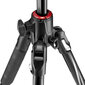 Statiivikomplekt Manfrotto MKBFRA4GTXP-BH Befree GT XPRO Alu цена и информация | Statiivid | kaup24.ee