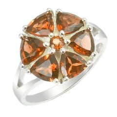 Красивое серебряное (925) кольцо, код ah54024 цена и информация | Кольцо | kaup24.ee
