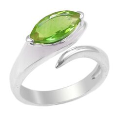Красивое серебряное (925) кольцо, код ah507013 цена и информация | Кольцо | kaup24.ee
