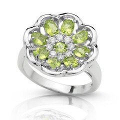 Красивое серебряное (925) кольцо, код f50142 цена и информация | Кольцо | kaup24.ee