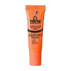 Huulepalsam värviga Dr. PawPaw Outrageous Orange, 10 ml hind ja info | Huulepulgad, -läiked, -palsamid, vaseliin | kaup24.ee