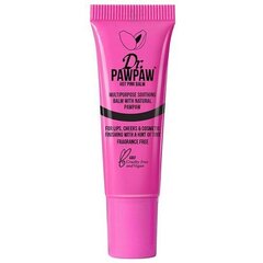 Huulepalsam värviga Dr. Pawpaw Hot Pink, 10 ml цена и информация | Помады, бальзамы, блеск для губ | kaup24.ee