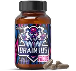 Пищевая добавка Braintus Focus, 90 капсул цена и информация | Витамины, пищевые добавки, препараты для хорошего самочувствия | kaup24.ee