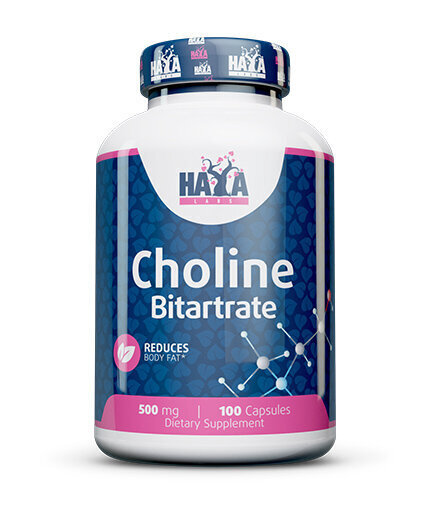 Haya Labs Choline Bitartrate 500mg 100 kaps цена и информация | Vitamiinid | kaup24.ee