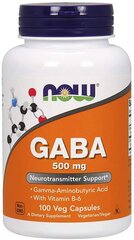 Gaba 500 mg 100 Vege kapslit hind ja info | Vitamiinid, toidulisandid, preparaadid tervise heaoluks | kaup24.ee