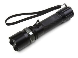 Taskulamp Esperanza EOT003 CREE Q5 5W LED hind ja info | Taskulambid, prožektorid | kaup24.ee