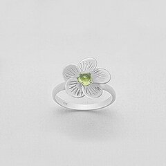 Красивое серебряное (925) кольцо, код f50170 цена и информация | Кольцо | kaup24.ee