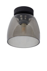 Потолочный светильник Tyler цена и информация | Потолочные светильники | kaup24.ee
