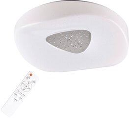 Laeplafoon Arion 50 LED 36 W цена и информация | Потолочные светильники | kaup24.ee