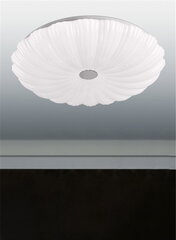 Laeplafoon Flower LED 36 W + pult цена и информация | Потолочные светильники | kaup24.ee