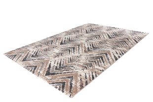 Vaip Trendy Beige-Silver, 160 x 230 cm hind ja info | Vaibad | kaup24.ee