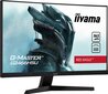 Iiyama G2466HSU-B1 цена и информация | Monitorid | kaup24.ee