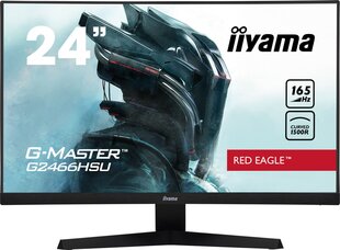 Iiyama G2466HSU-B1 hind ja info | Monitorid | kaup24.ee