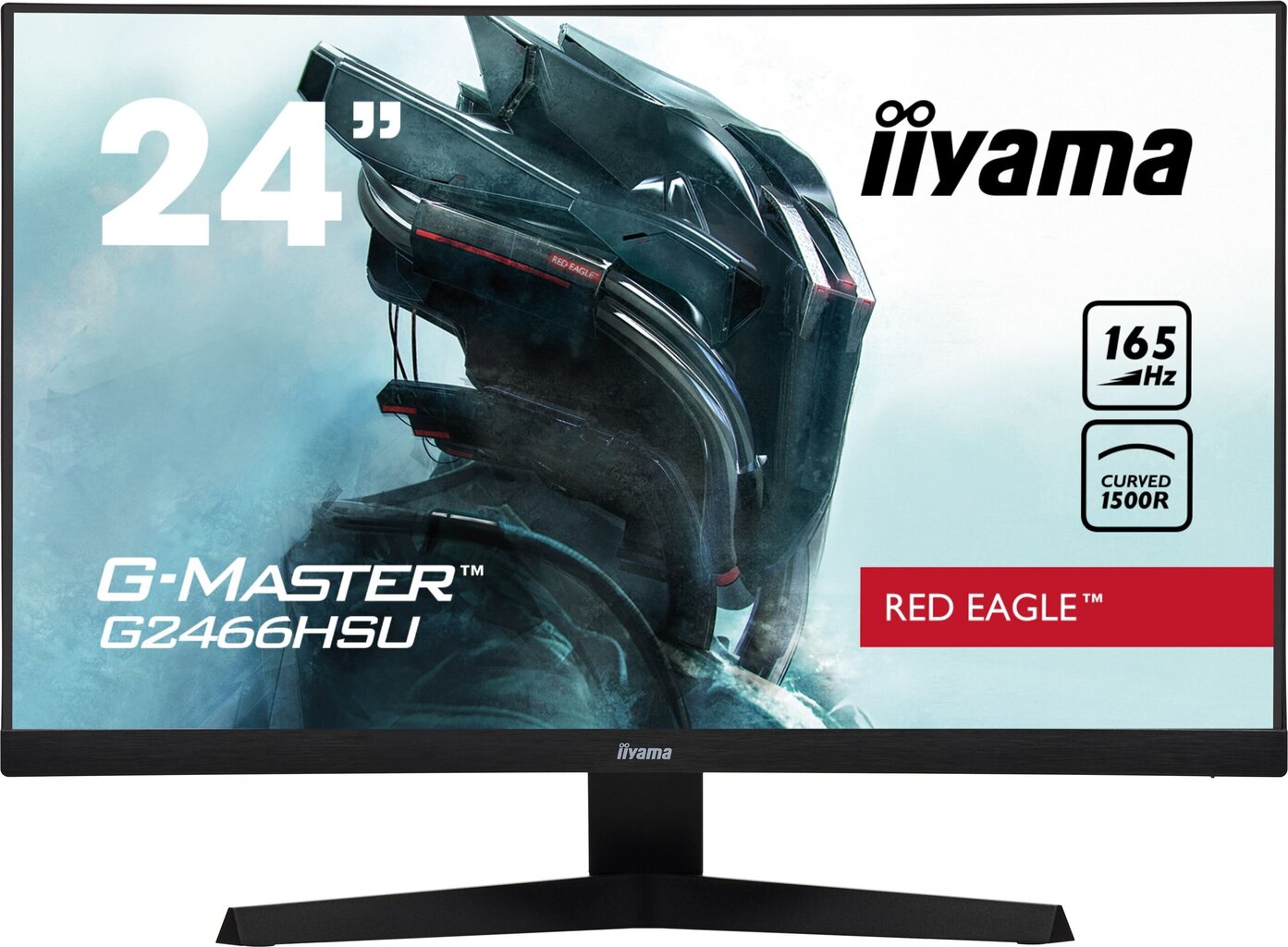 Iiyama G2466HSU-B1 цена и информация | Monitorid | kaup24.ee