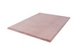 Põrandavaip Heaven Pink 160x230 cm hind ja info | Vaibad | kaup24.ee