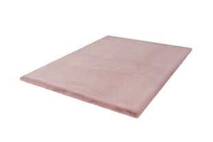 Vaip Heaven Heaven Pink 120x170 cm hind ja info | Vaibad | kaup24.ee