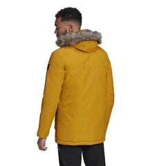 Kуртка adidas Xploric Parka цена и информация | Мужские куртки | kaup24.ee