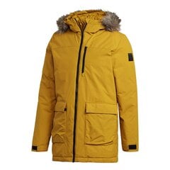 Jope adidas Xploric Parka цена и информация | Мужские куртки | kaup24.ee