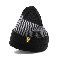 Talvemüts PUMA Ferrari Fanwear цена и информация | Мужские шарфы, шапки, перчатки | kaup24.ee