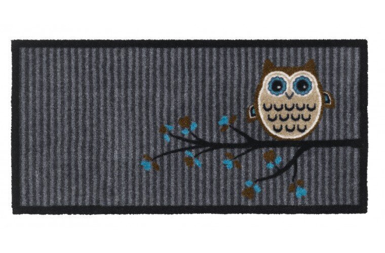 Uksematt Vision Owl 40x80 cm hind ja info | Uksematid | kaup24.ee