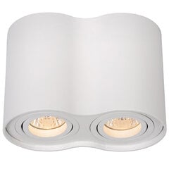 Точечный светильник Tube цена и информация | Монтируемые светильники, светодиодные панели | kaup24.ee
