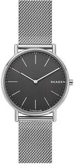 Meeste käekell Skagen signatur slim titanium SKW6483 hind ja info | Meeste käekellad | kaup24.ee