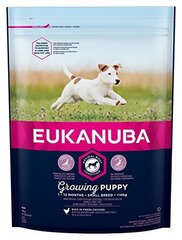 EUKANUBA PUPPY сухой корм со свежей курицей для щенков мелких пород до 12 месяцев 3 кг цена и информация | Сухой корм для собак | kaup24.ee