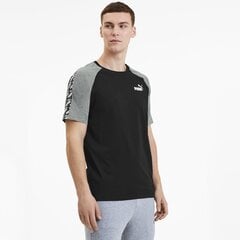 Футболка PUMA Amplified Raglan цена и информация | Meeste T-särgid | kaup24.ee