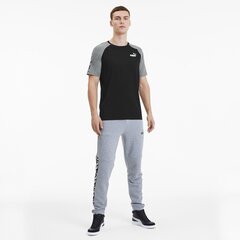 Футболка PUMA Amplified Raglan цена и информация | Meeste T-särgid | kaup24.ee