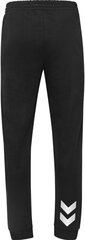 Штаны спортивные для мужчин HUMMEL Go Cotton, черные цена и информация | Мужская спортивная одежда | kaup24.ee