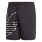 Meeste šortsid Adidas Originals Big Trefoil Swim, must hind ja info | Ujumispüksid, shortsid | kaup24.ee