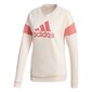 Naiste dressipluus Adidas Graphic Crewneck, valge hind ja info | Naiste kampsunid | kaup24.ee