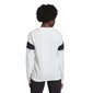 Naiste dressipluus Adidas Graphic Crewneck, valge hind ja info | Naiste kampsunid | kaup24.ee