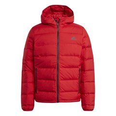 Kуртка Adidas HELIONIC HOODED DOWN цена и информация | Мужские куртки | kaup24.ee