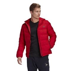 Kуртка Adidas HELIONIC HOODED DOWN цена и информация | Мужские куртки | kaup24.ee